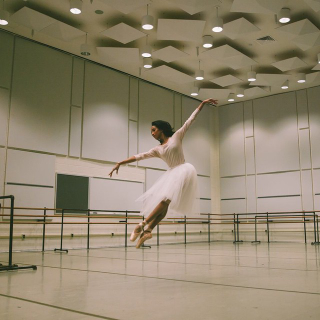 Illustration for article titled ABT's other black ballerina